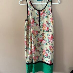 Pim + Larkin dress Anthropologie